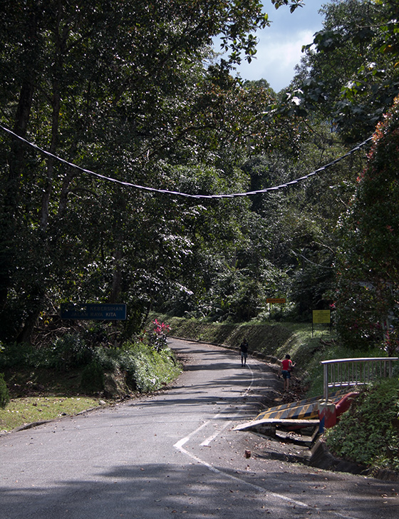 bukit-larut