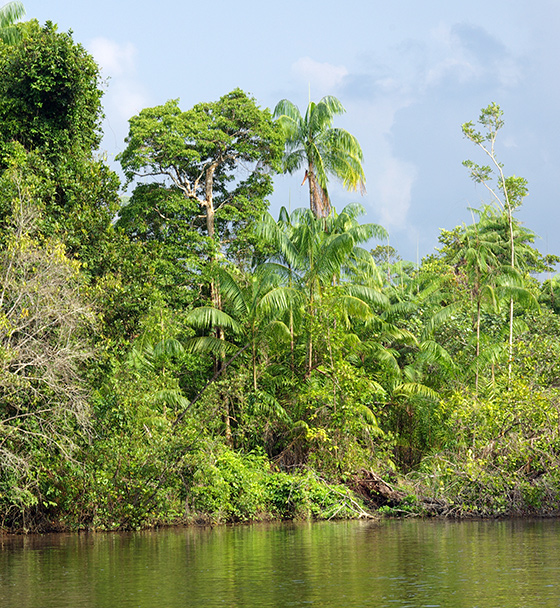 cherating-river-cruise-2