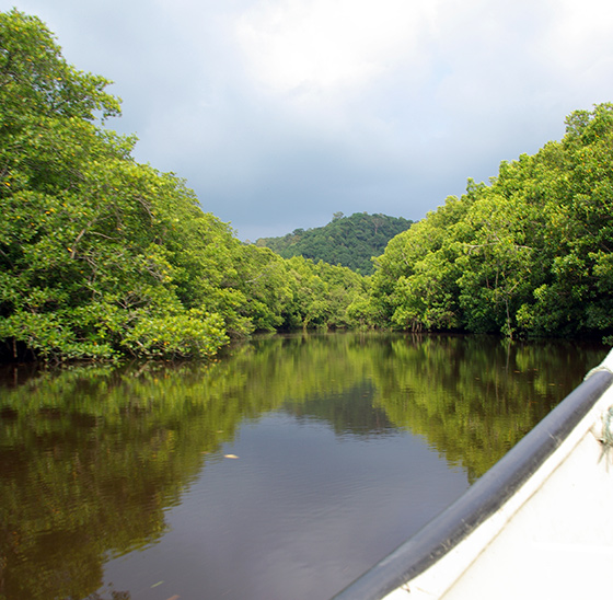 cherating-river-cruise-3