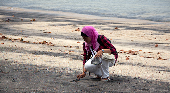 black-sand-beach-langkawi-5