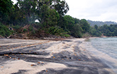 Black Sand Beach at Langkawi Island