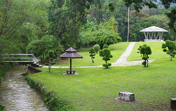 Kebun bunga penang