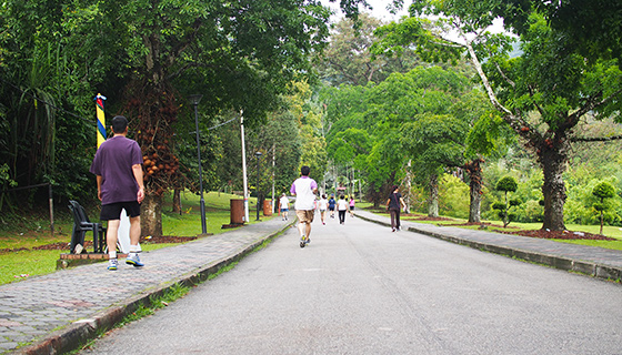 botanic-gardens-penang-6