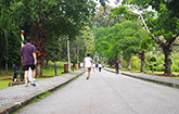 Botanic Gardens, Penang