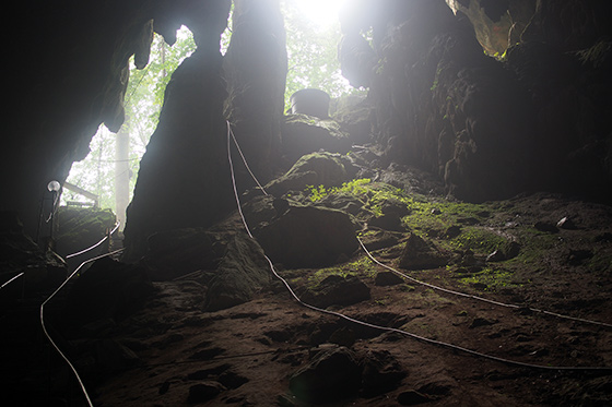 charah-caves-pahang-malaysia-4