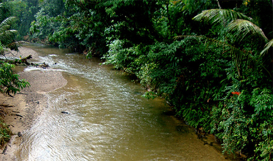 longhouse-sarawak-3