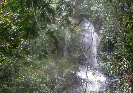 longhouse-sarawak-4