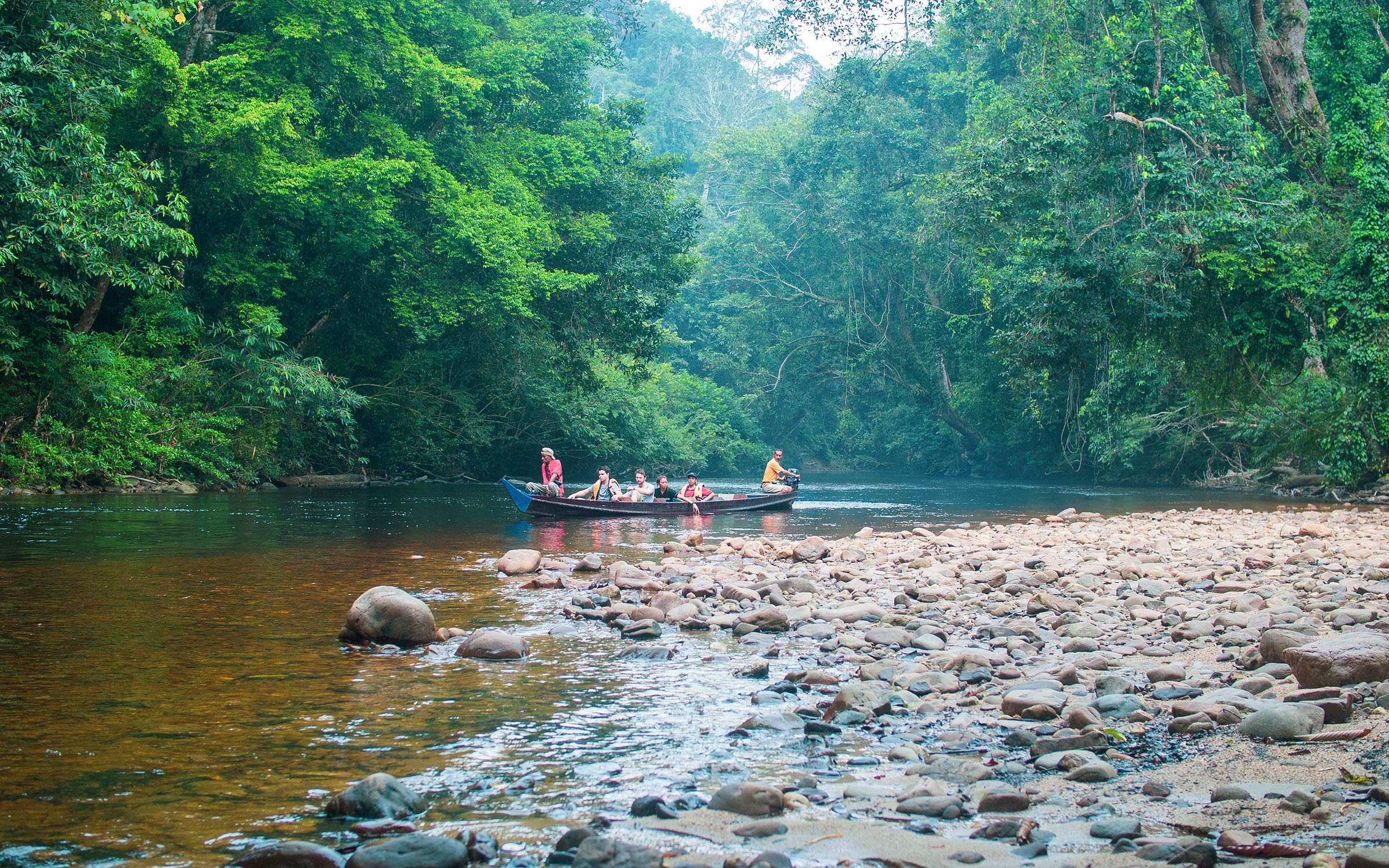 Top 5 Wildlife Destinations in Malaysia