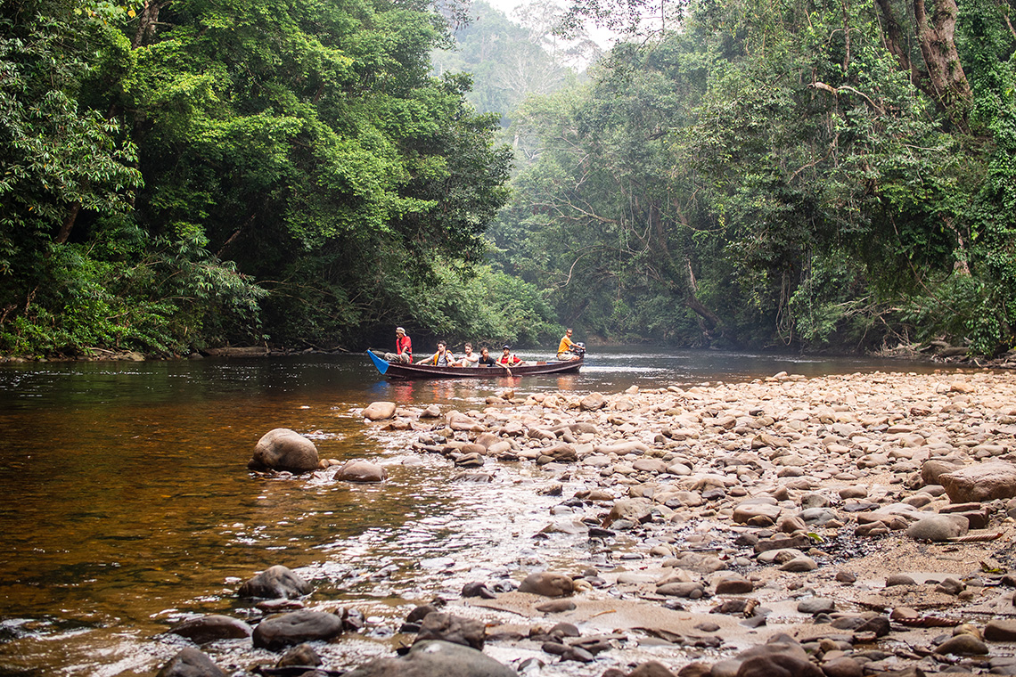 Taman Negara River Cruise