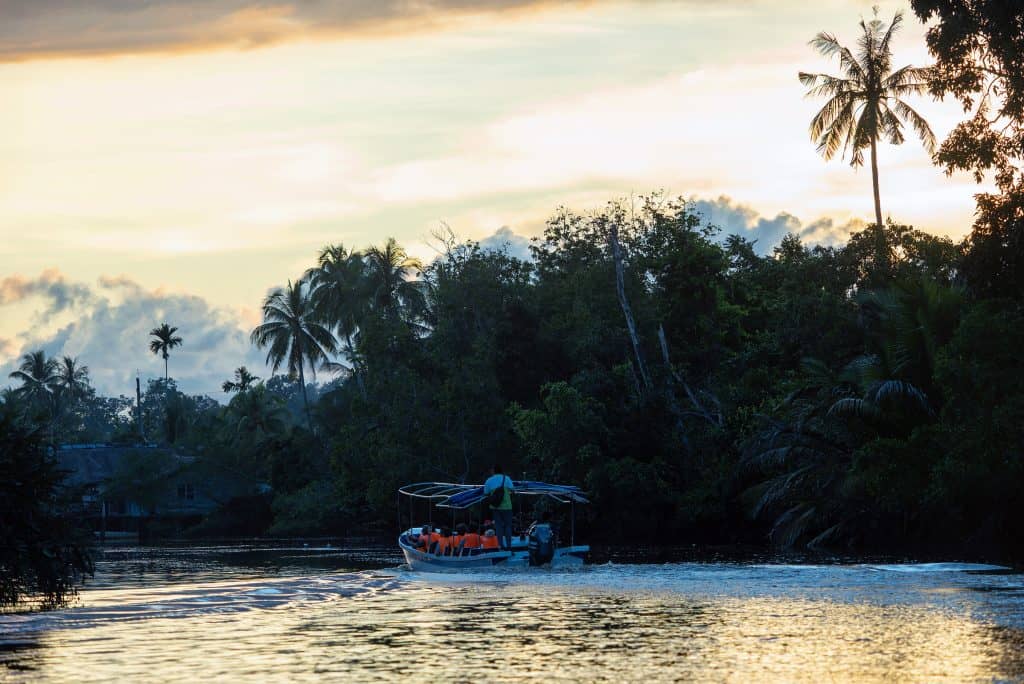 Klias Wetlands – A Great River Cruise Through the Mangrove Forest