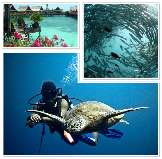 Scuba diving at islands around Borneo, Malaysia