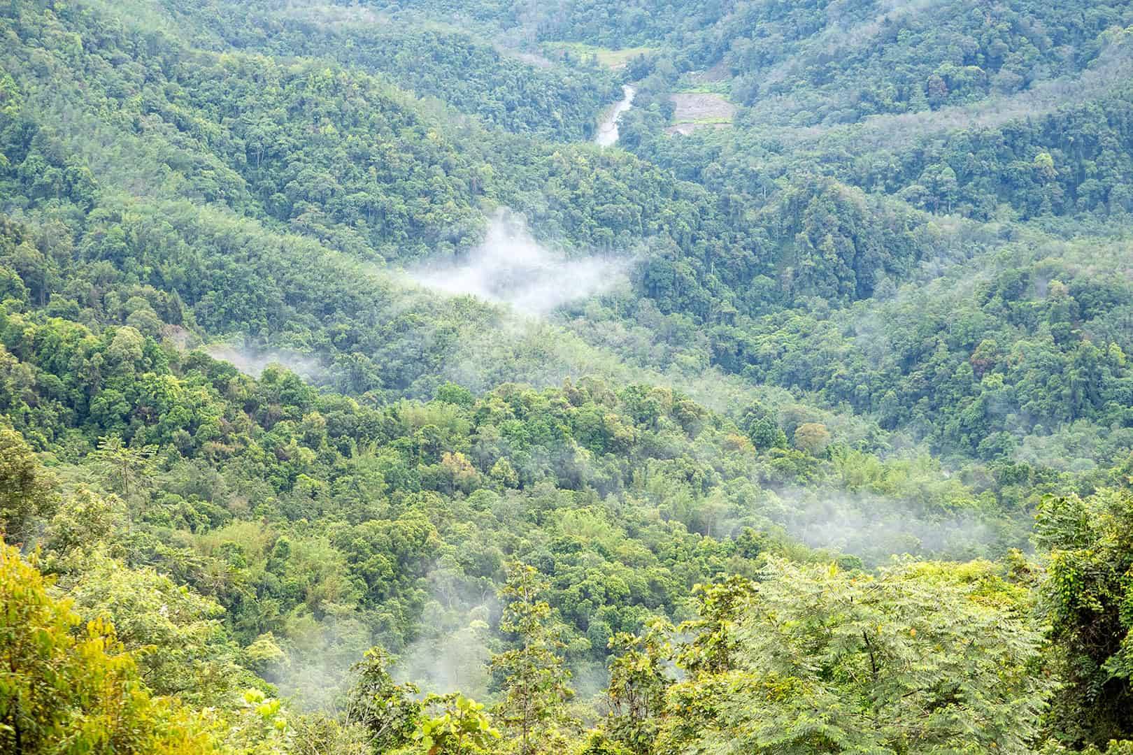 Kinabalu National Park