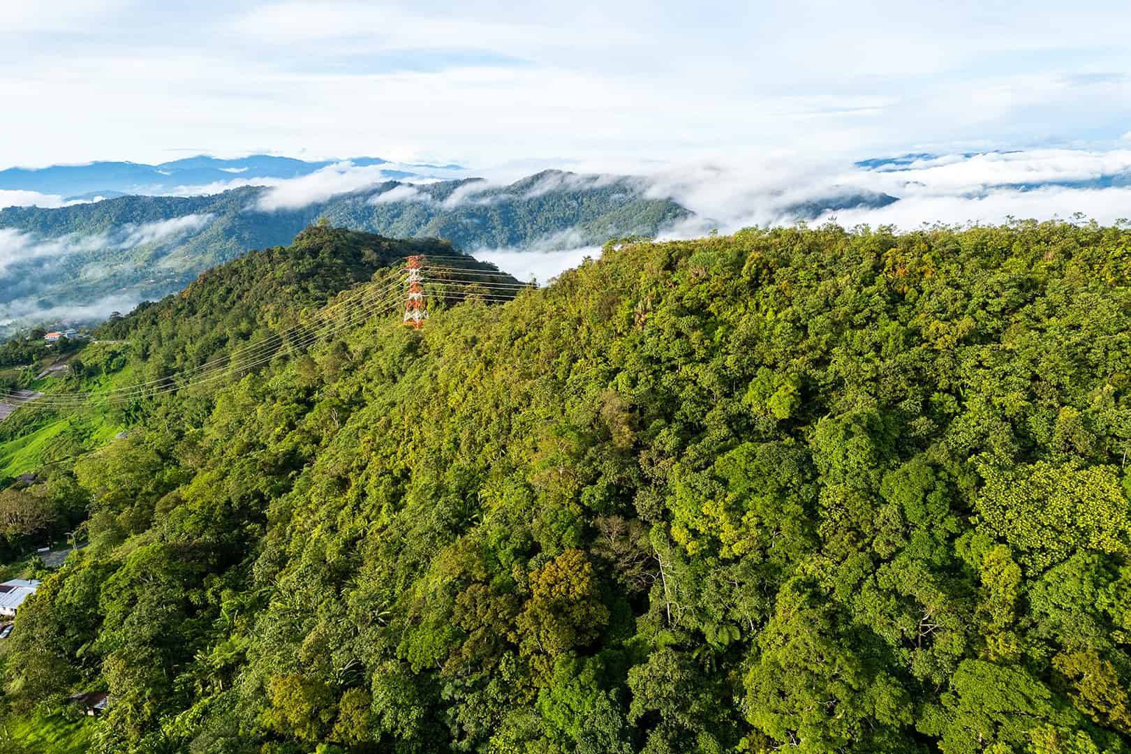 Kinabalu National Park