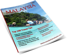 Free eBook Top 100 Tips Malaysia