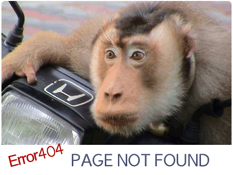 error 404 page not found
