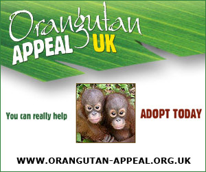 Free advertisement for orangutan-appeal.org.uk