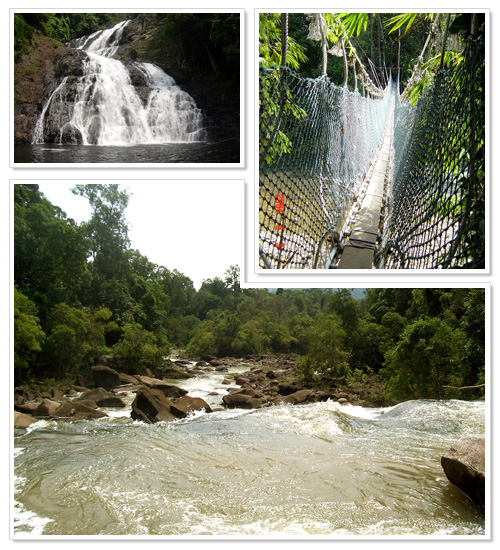 Endau-Rompin National Park 1