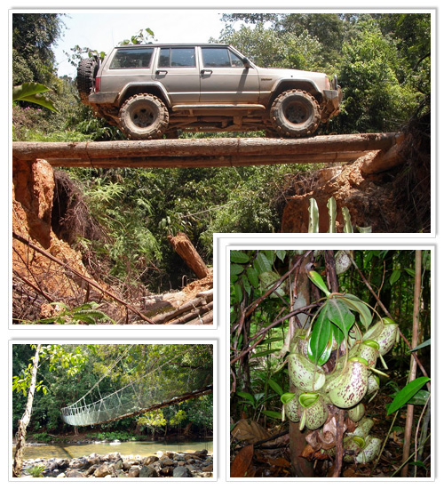 Endau-Rompin National Park 2