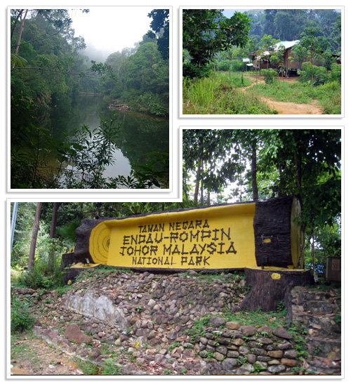 Endau-Rompin National Park 3