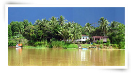 Kinabatangan River