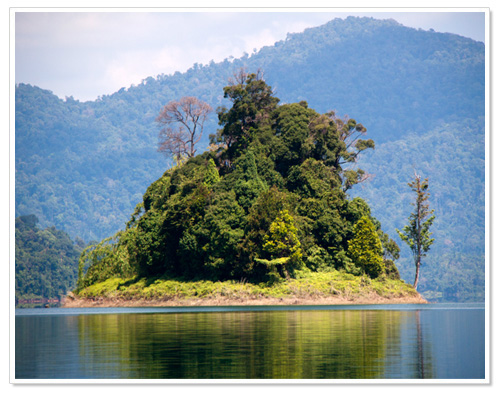 Small Island at Lake Kenyir