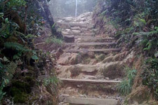 Stairs along the trail