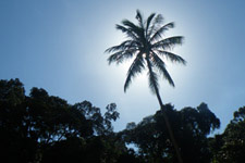 Nice tropical vibe at Perhentian Island