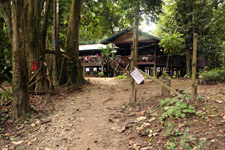 KJC along the river banks of Kinabatangan River