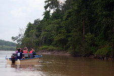 Kinabatangan River Cruise