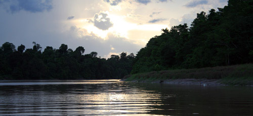 Kinabatangan River Sunset