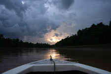 Kinabatangan River in Sabah Kinabatangan River in Sabah