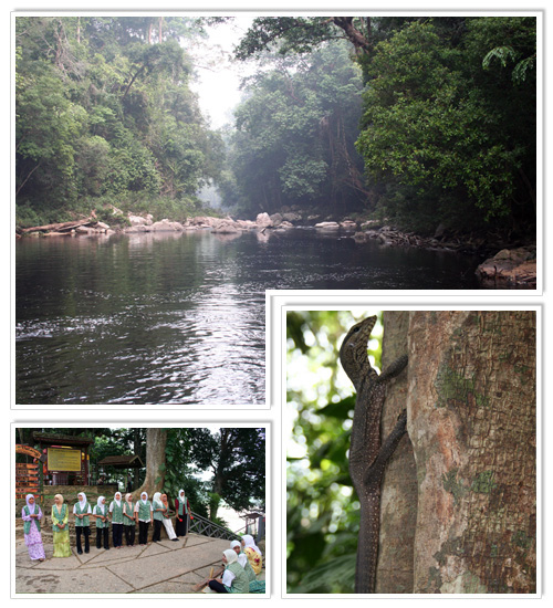 Taman Negara National Park Malaysia 2