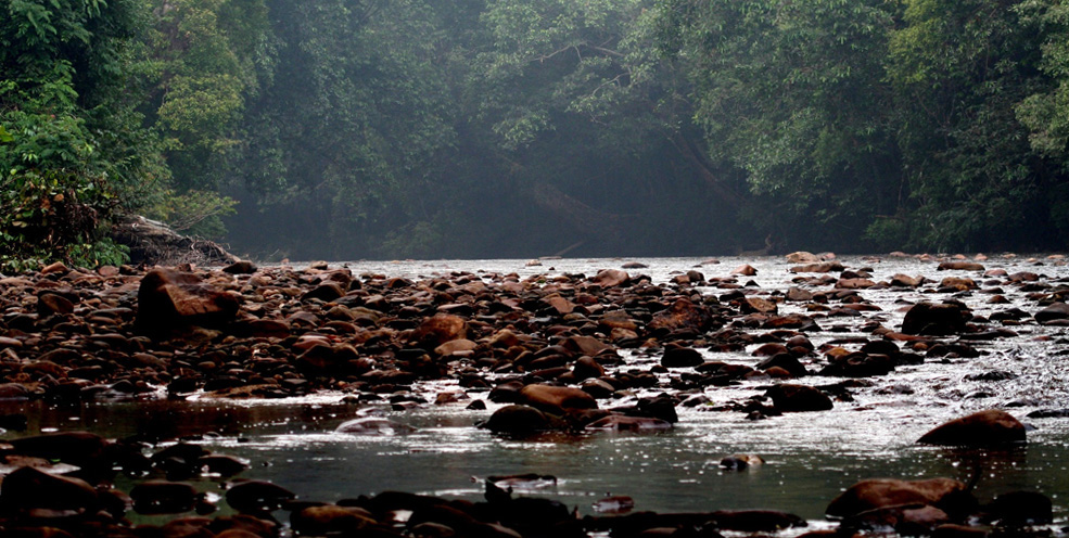 Taman negara di malaysia