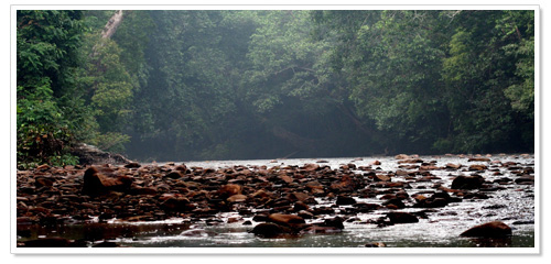 Taman Negara Panorama 1