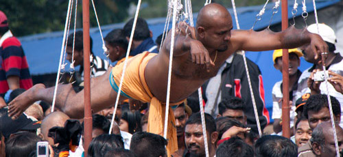 Man hanging from hooks during Thaipusam