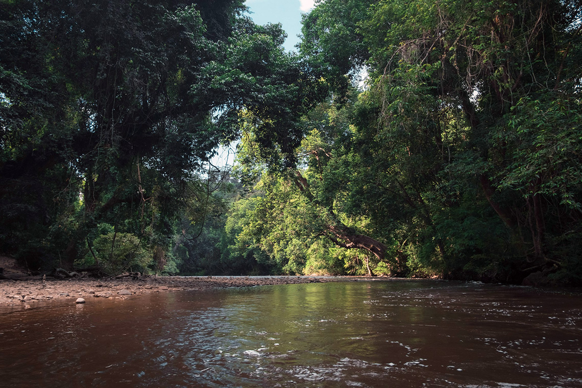 taman negara jungle experience