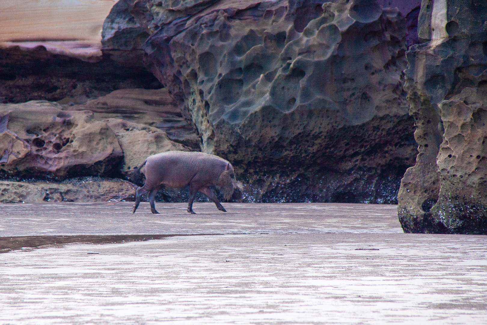 Bako National Park