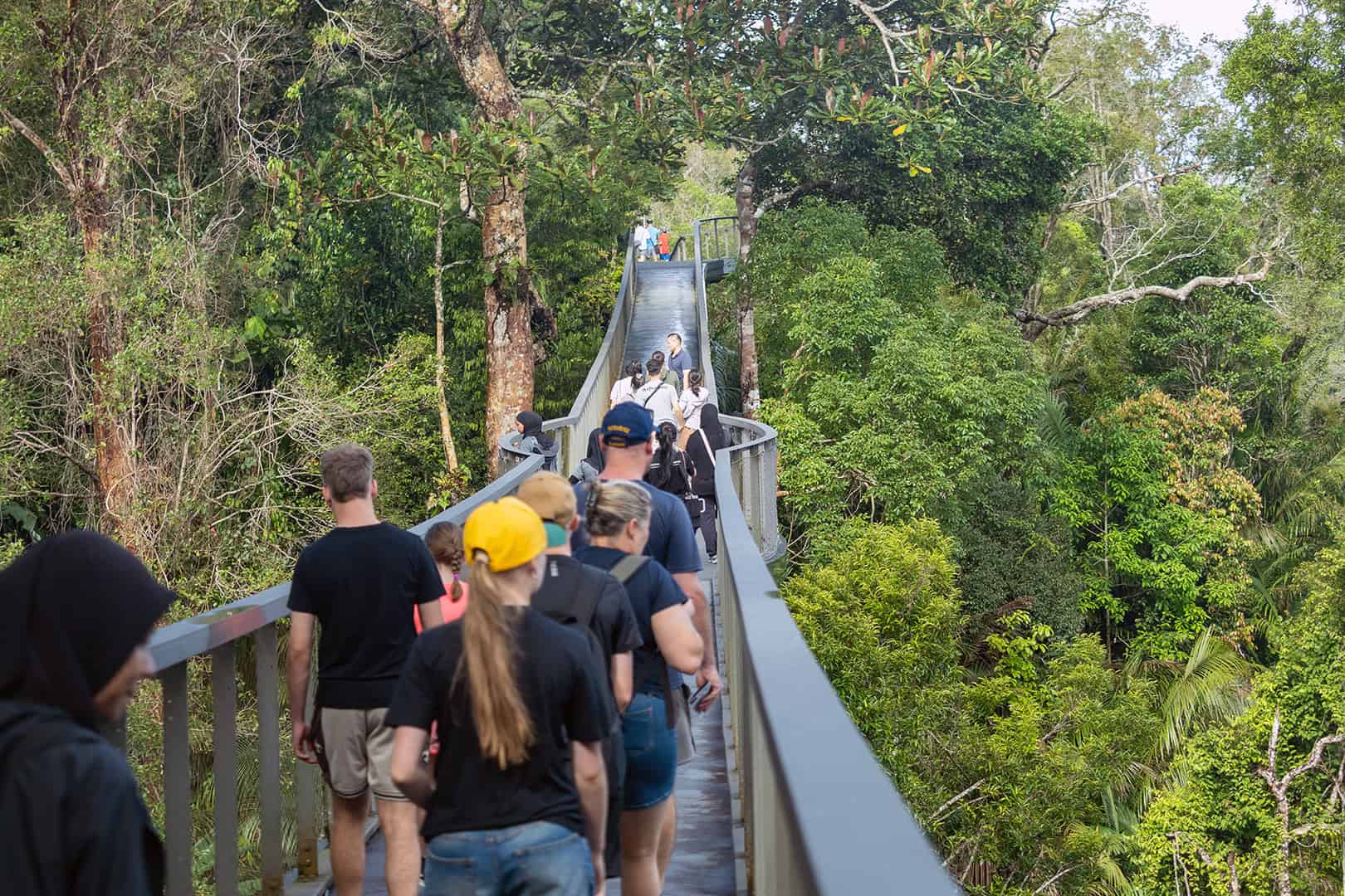 Jungle experience in Malaysia