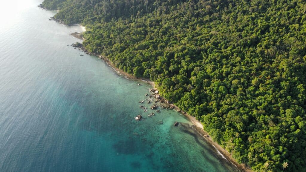 Feri Mersing ke Tioman & Bas ke Merang Jetty: Jadual, Harga dan Tips 2024