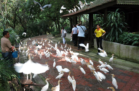 kids-travels-kl-bird-park