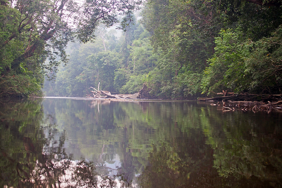 Taman Negara