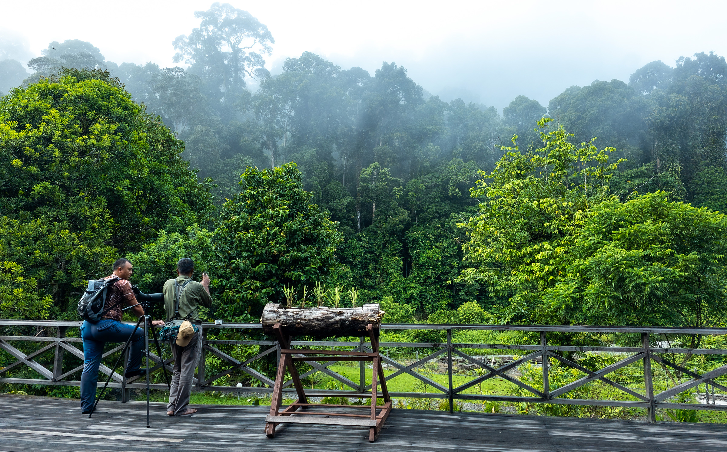 Tips on photographing in Malaysia’s jungles
